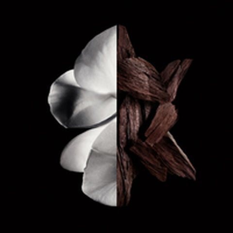 Gentleman Boisée 200 ml